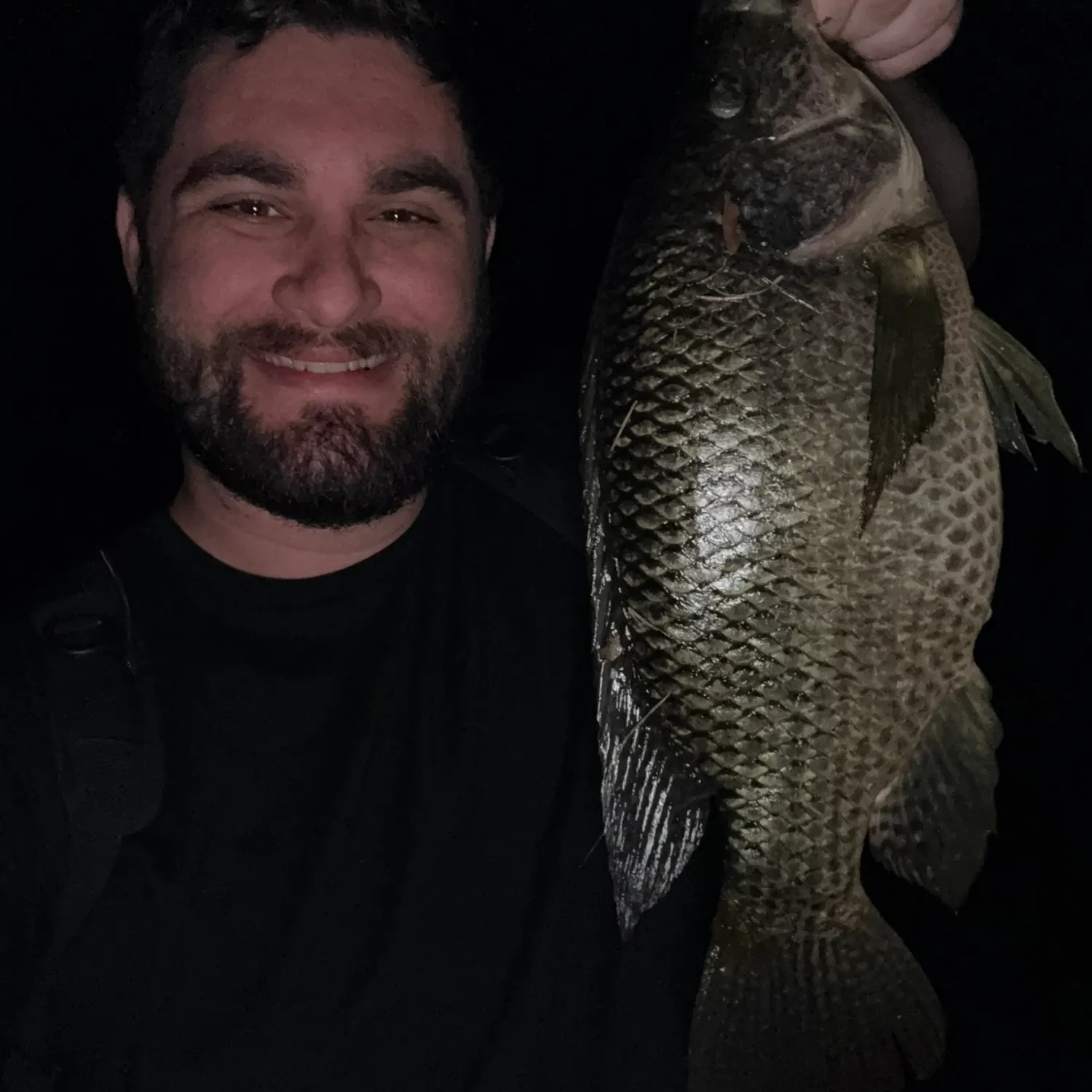 The most recent Nile tilapia catches on Fishbrain