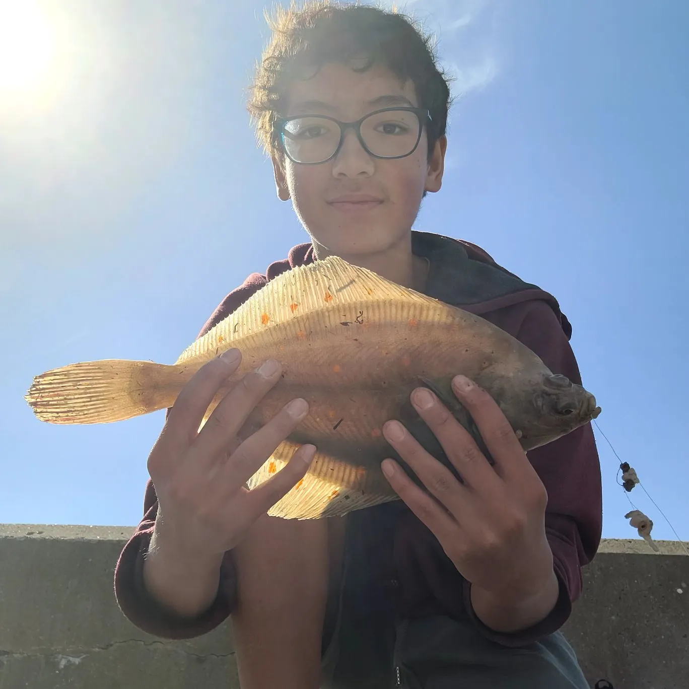 European plaice caught on Fishbrain