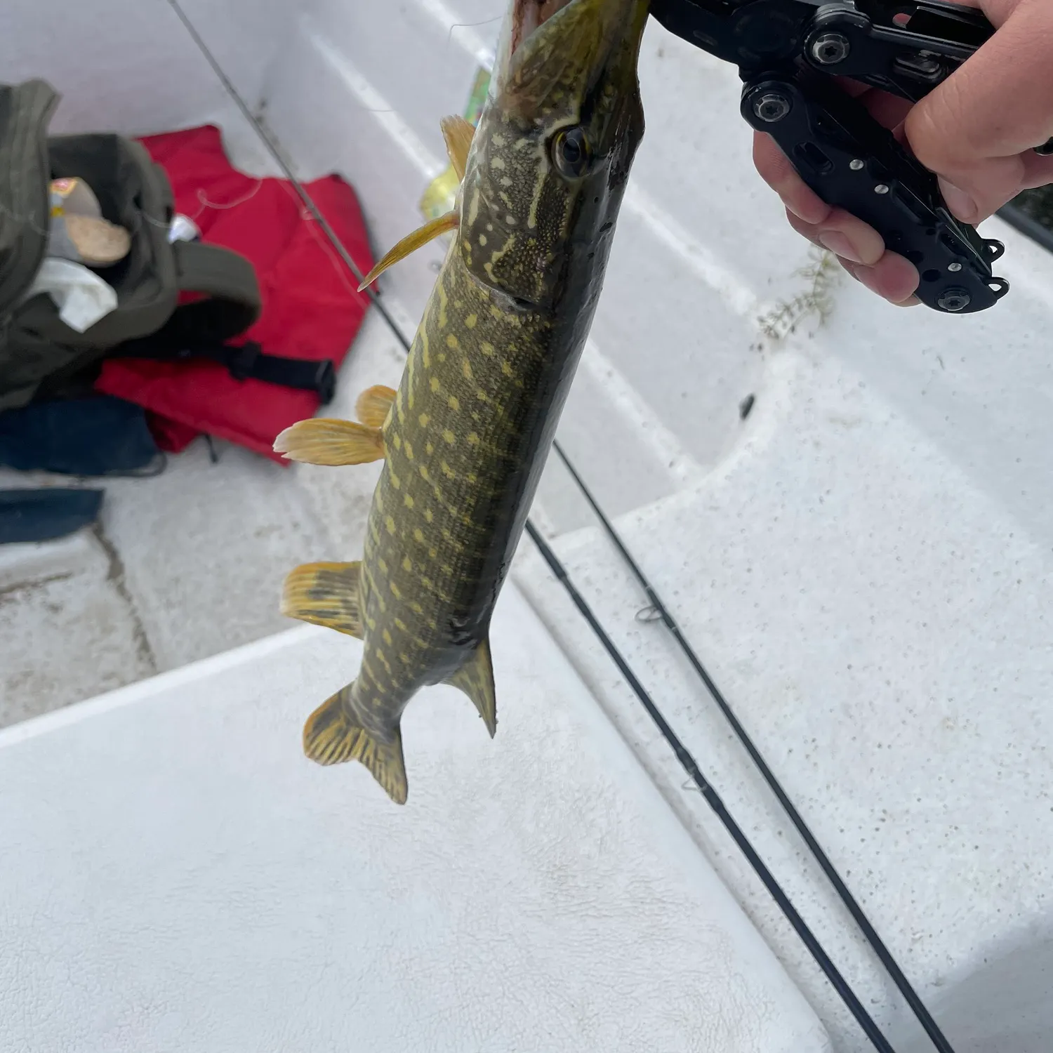 catch