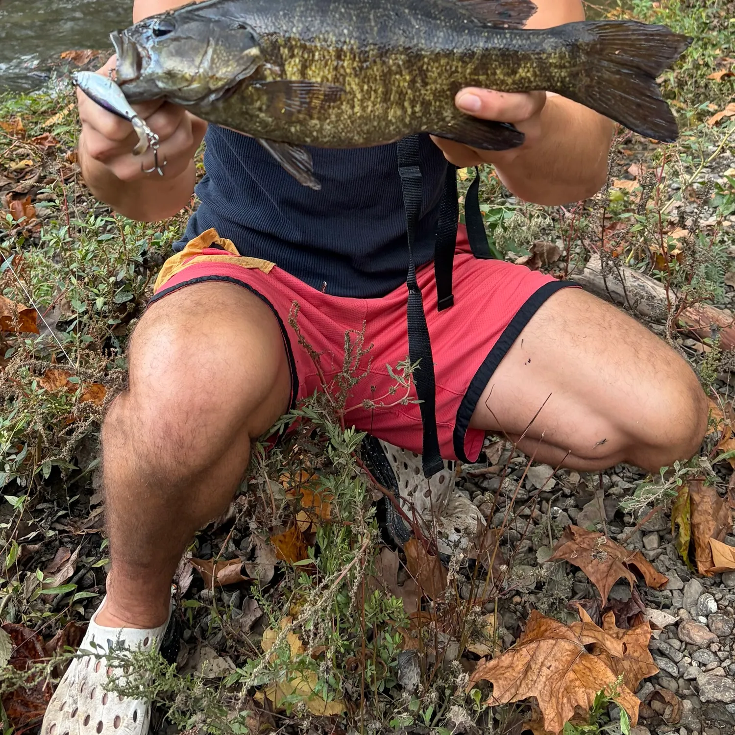 Smallmouth bass caught on Fishbrain