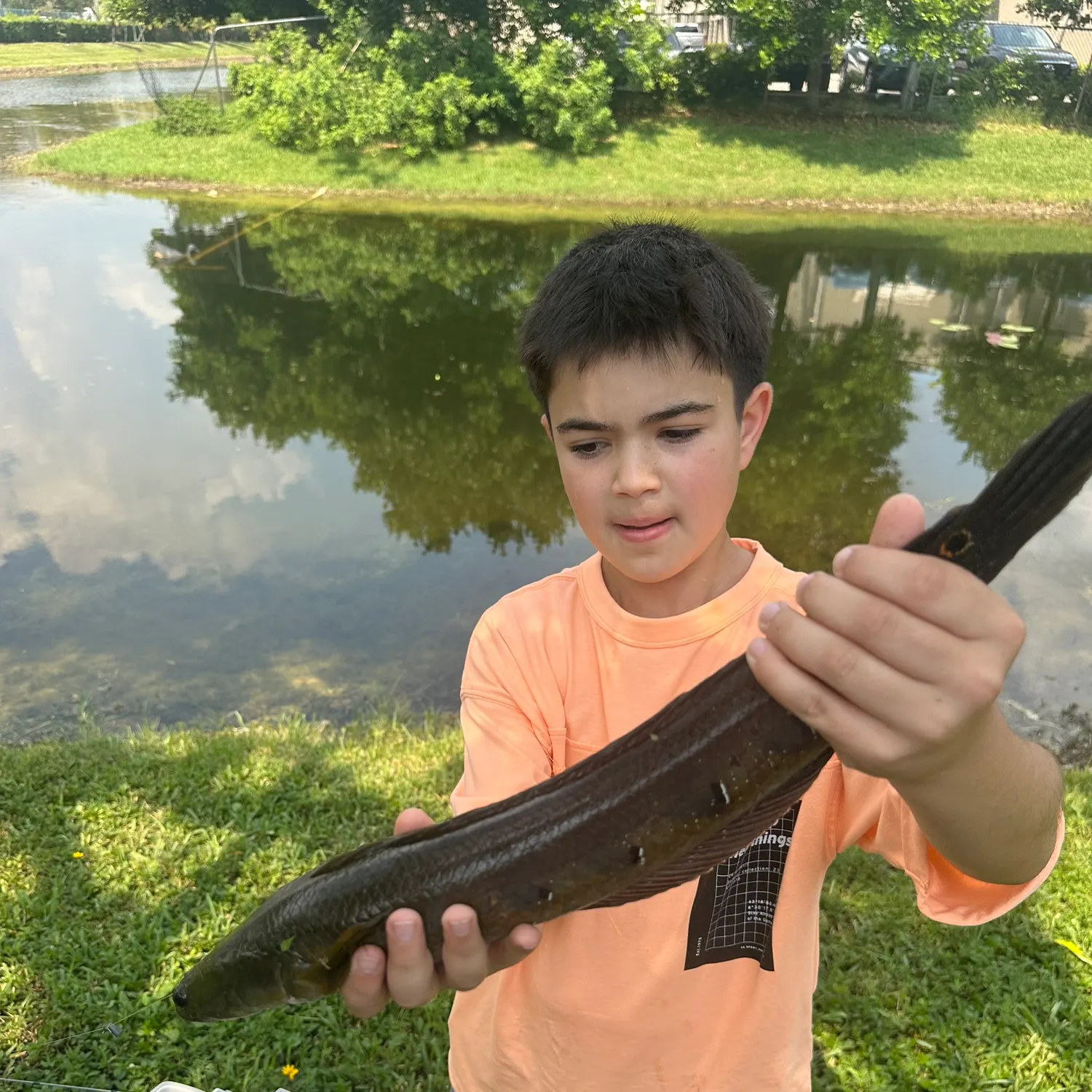 The most recent Bullseye snakehead catches on Fishbrain