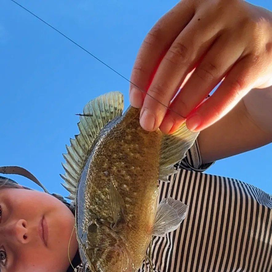 The most recent Magnolia crappie catches on Fishbrain