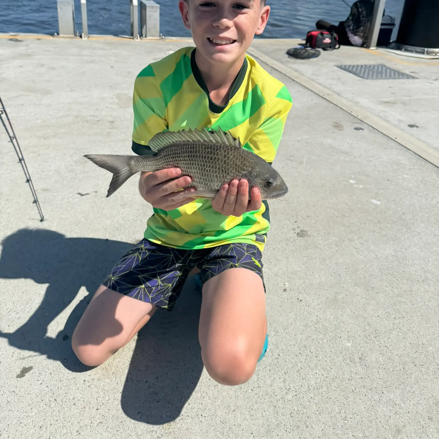 The most recent Pacific seabream catches on Fishbrain