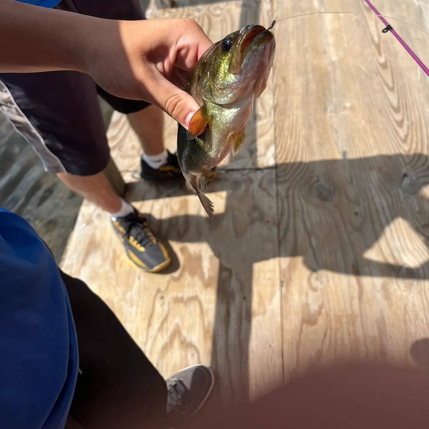 catch