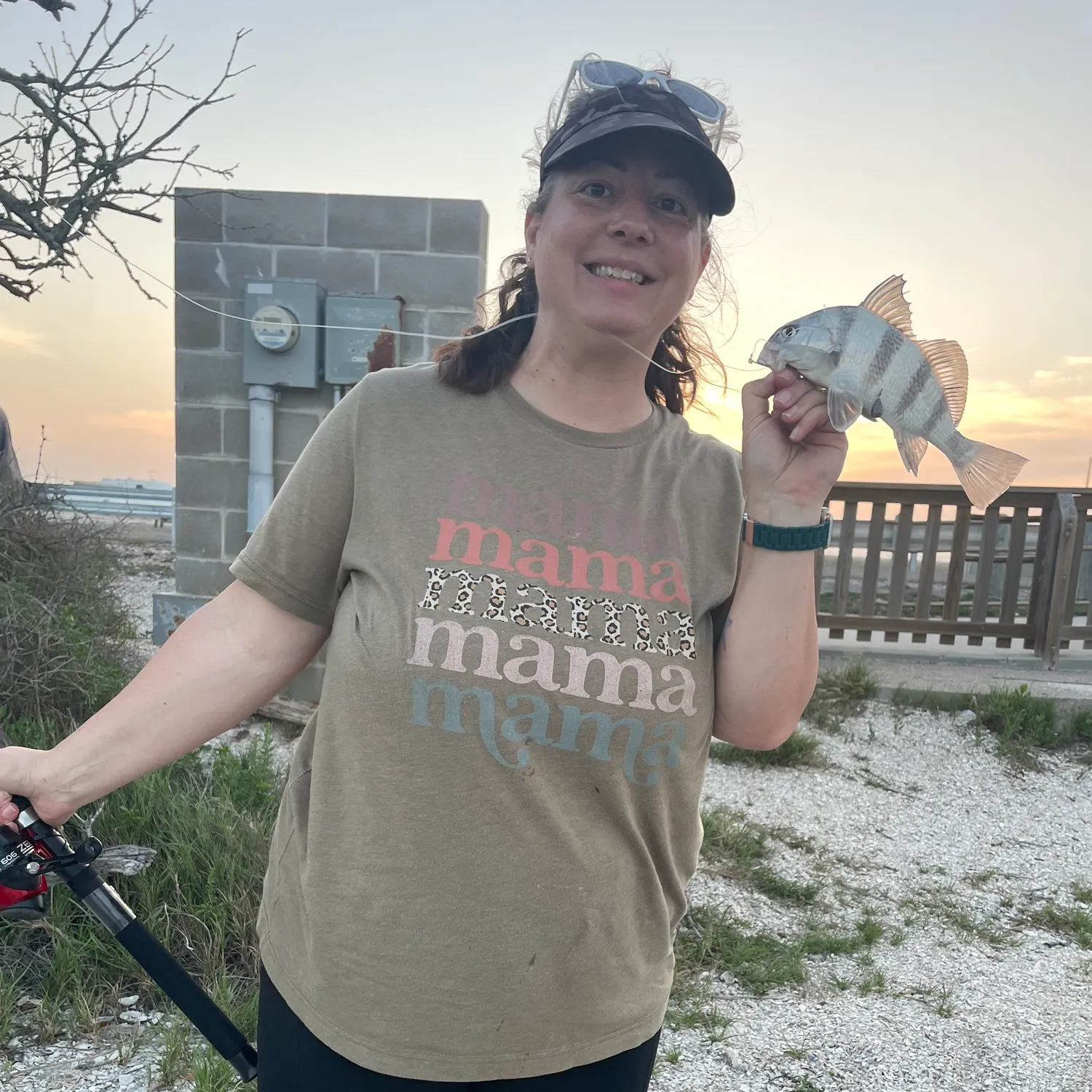 The most recent Black drum catches on Fishbrain