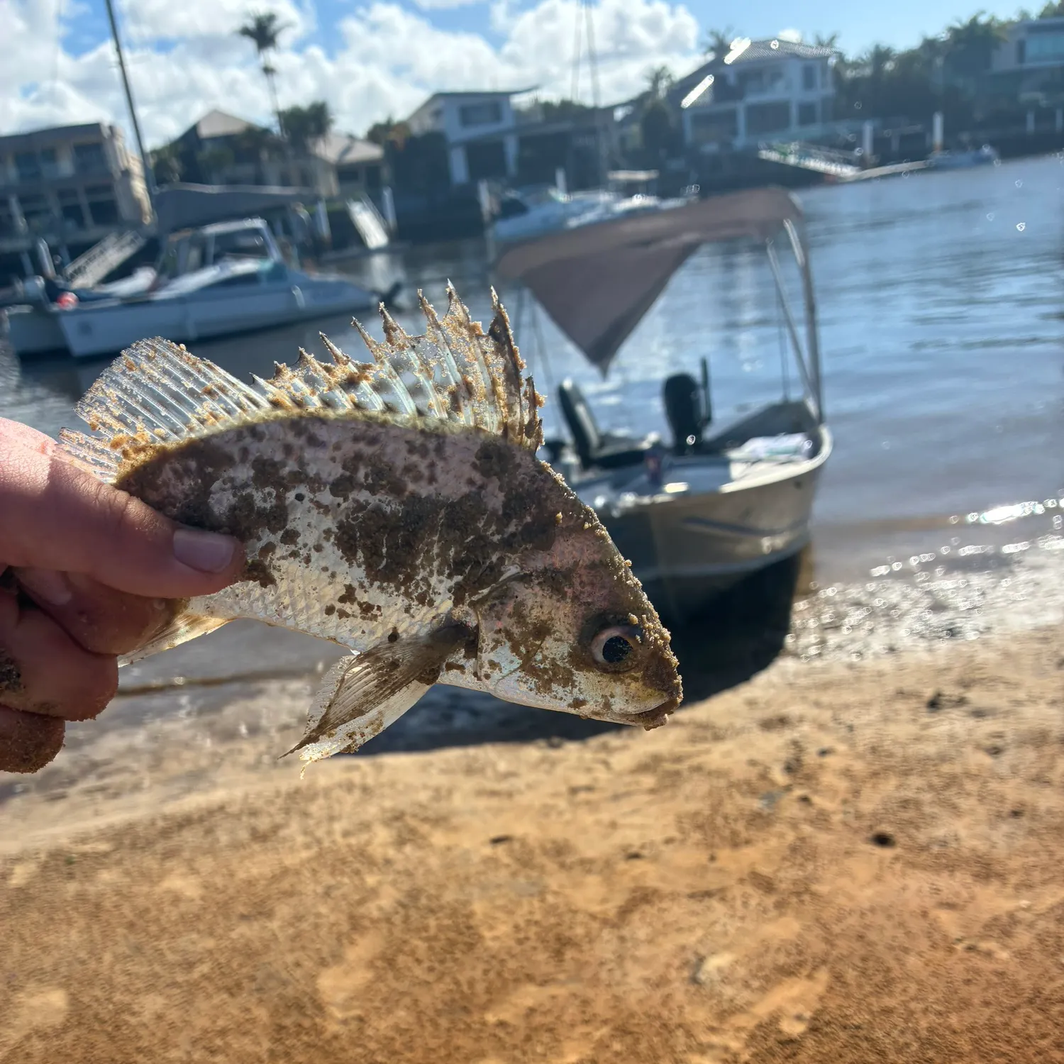 catch