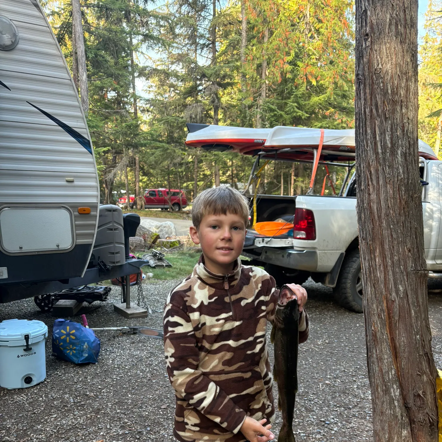 Rainbow trout caught on Fishbrain