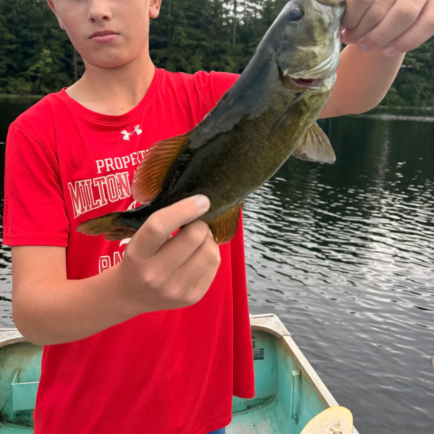 Smallmouth bass caught on Fishbrain