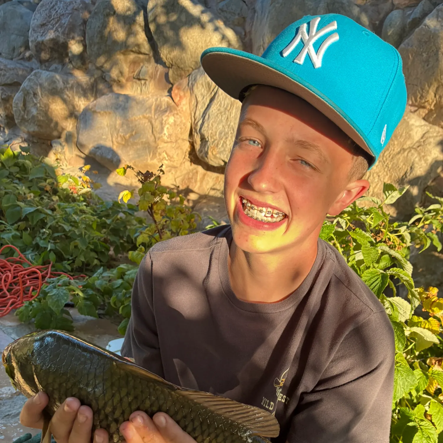 Common carp caught on Fishbrain
