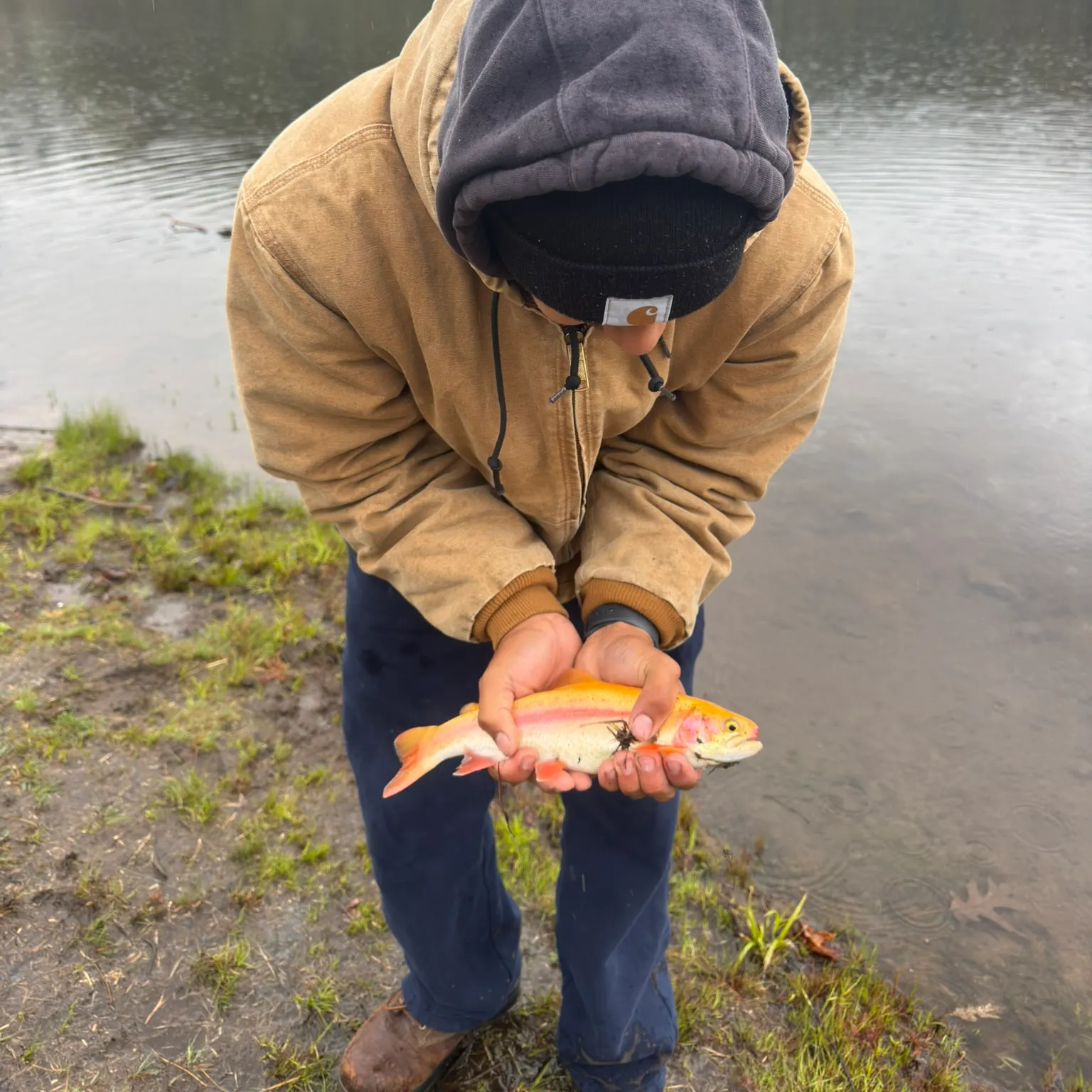 catch