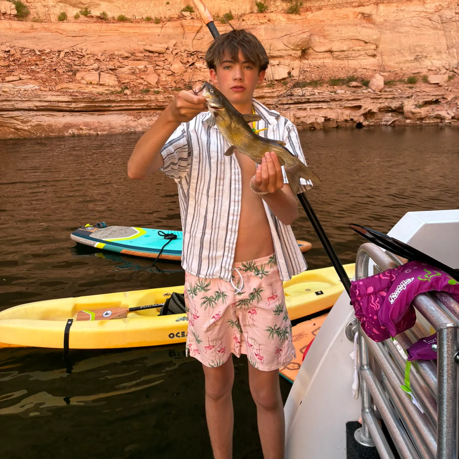 recently logged catches