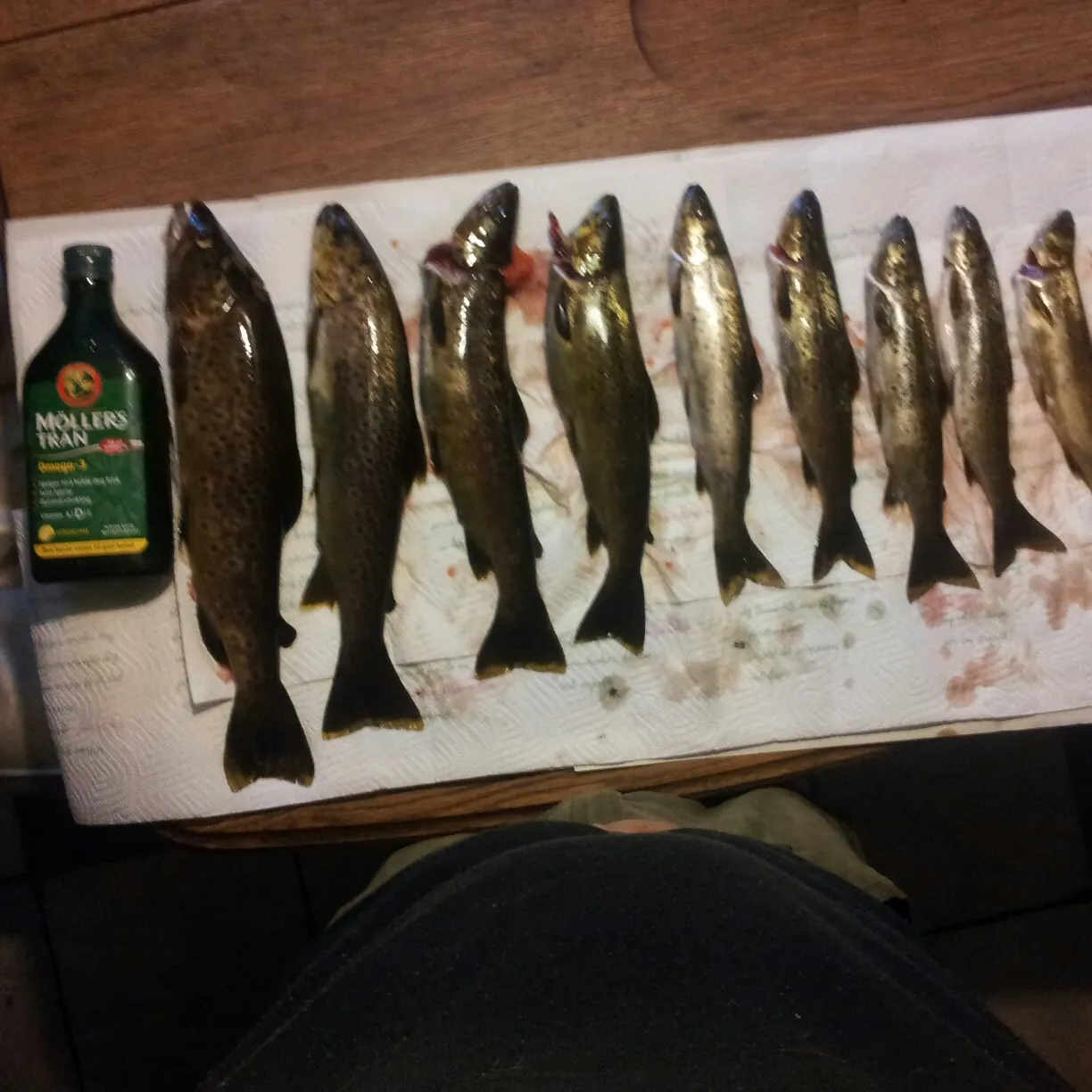 recently logged catches