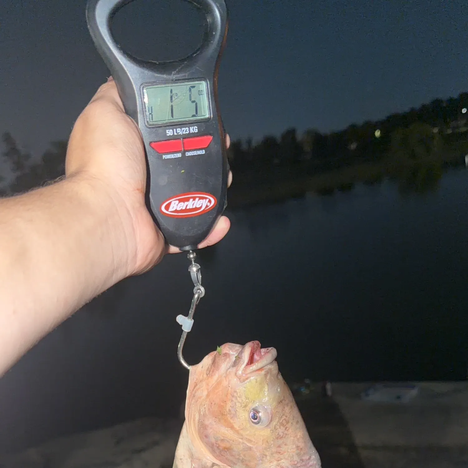 Nile tilapia caught on Fishbrain