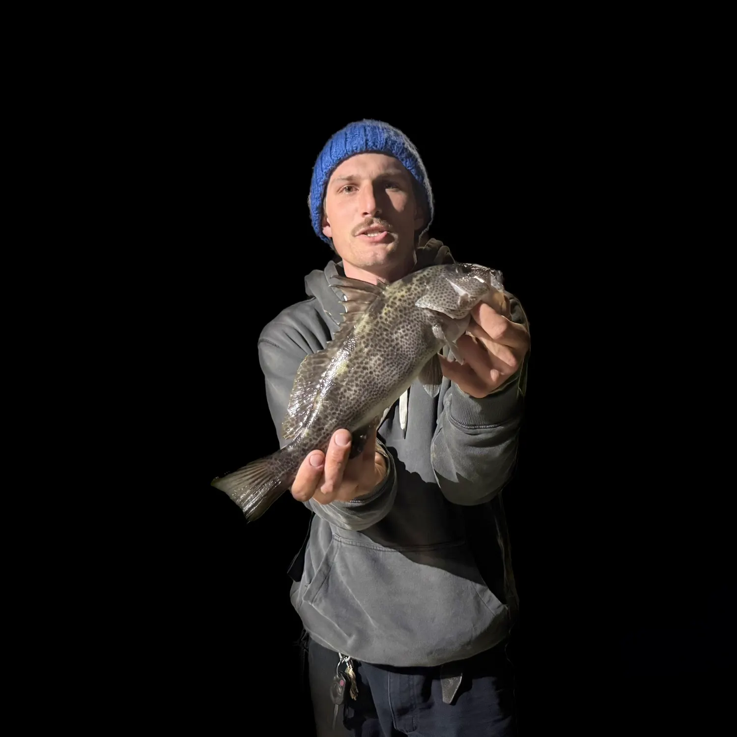 most liked catch image