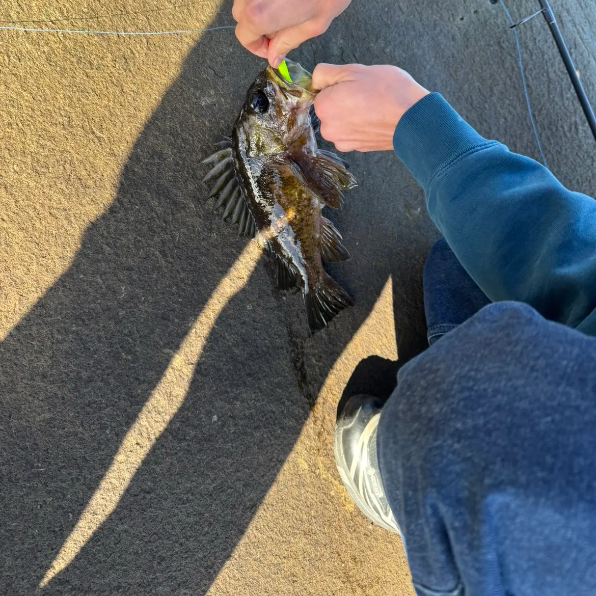 catch