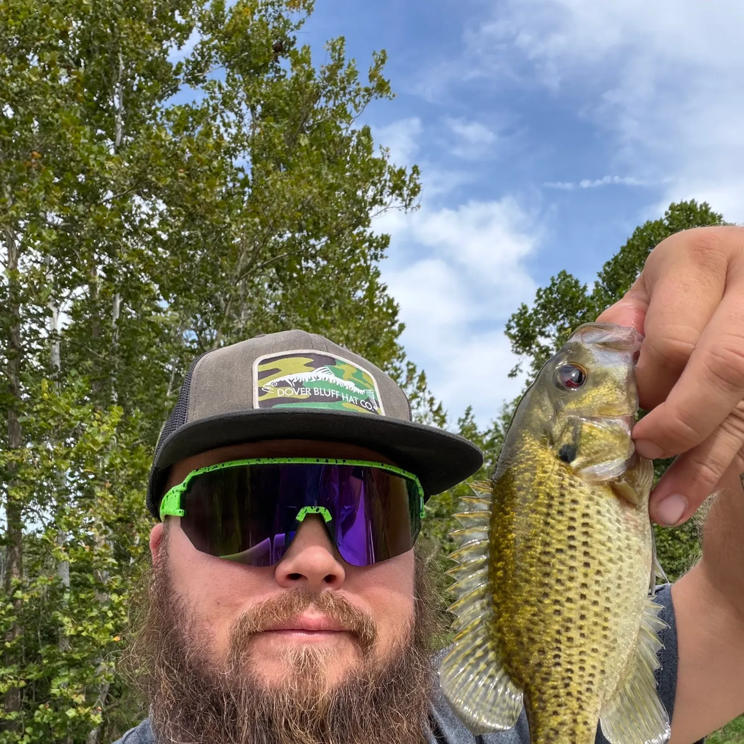 Rock bass caught on Fishbrain