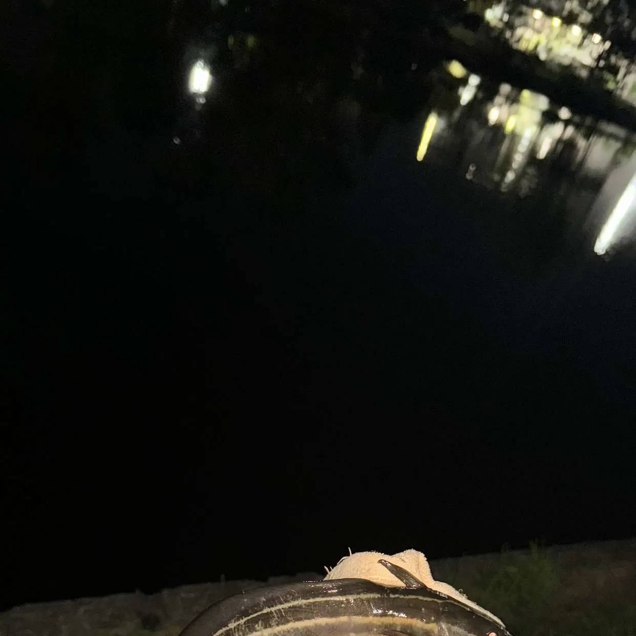 most liked catch image