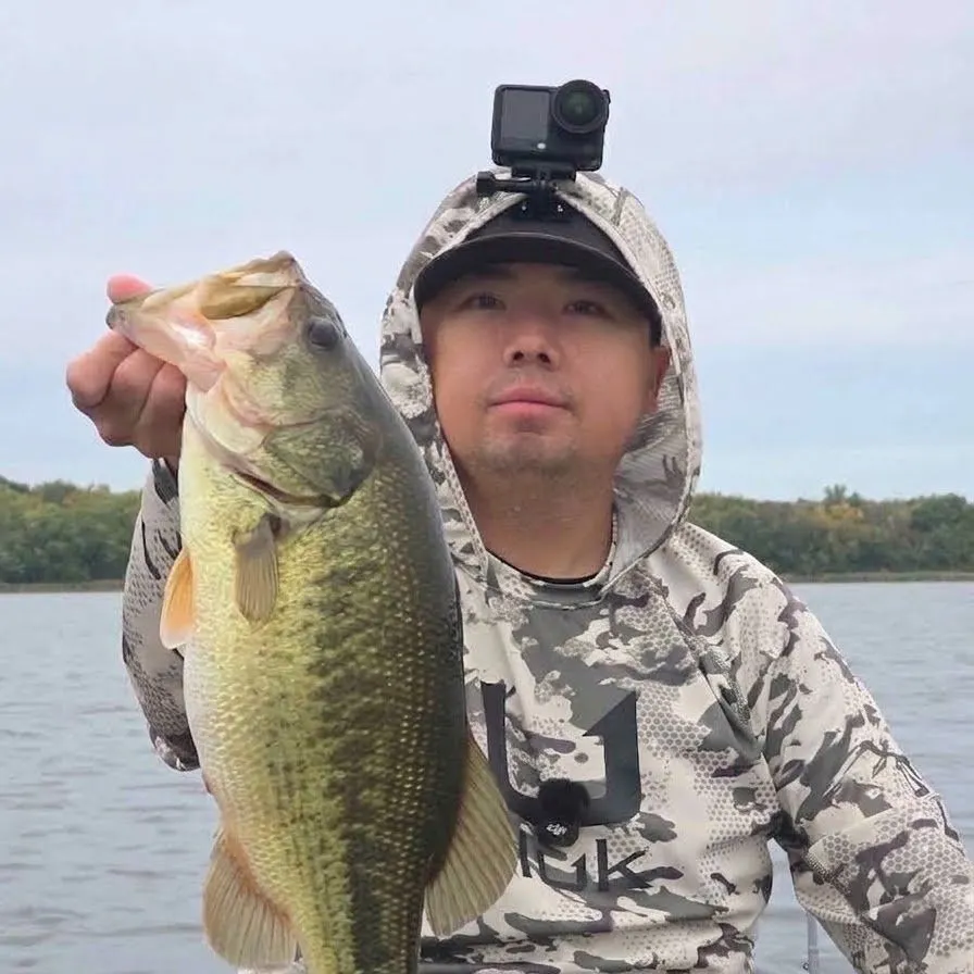 Largemouth bass caught on Fishbrain