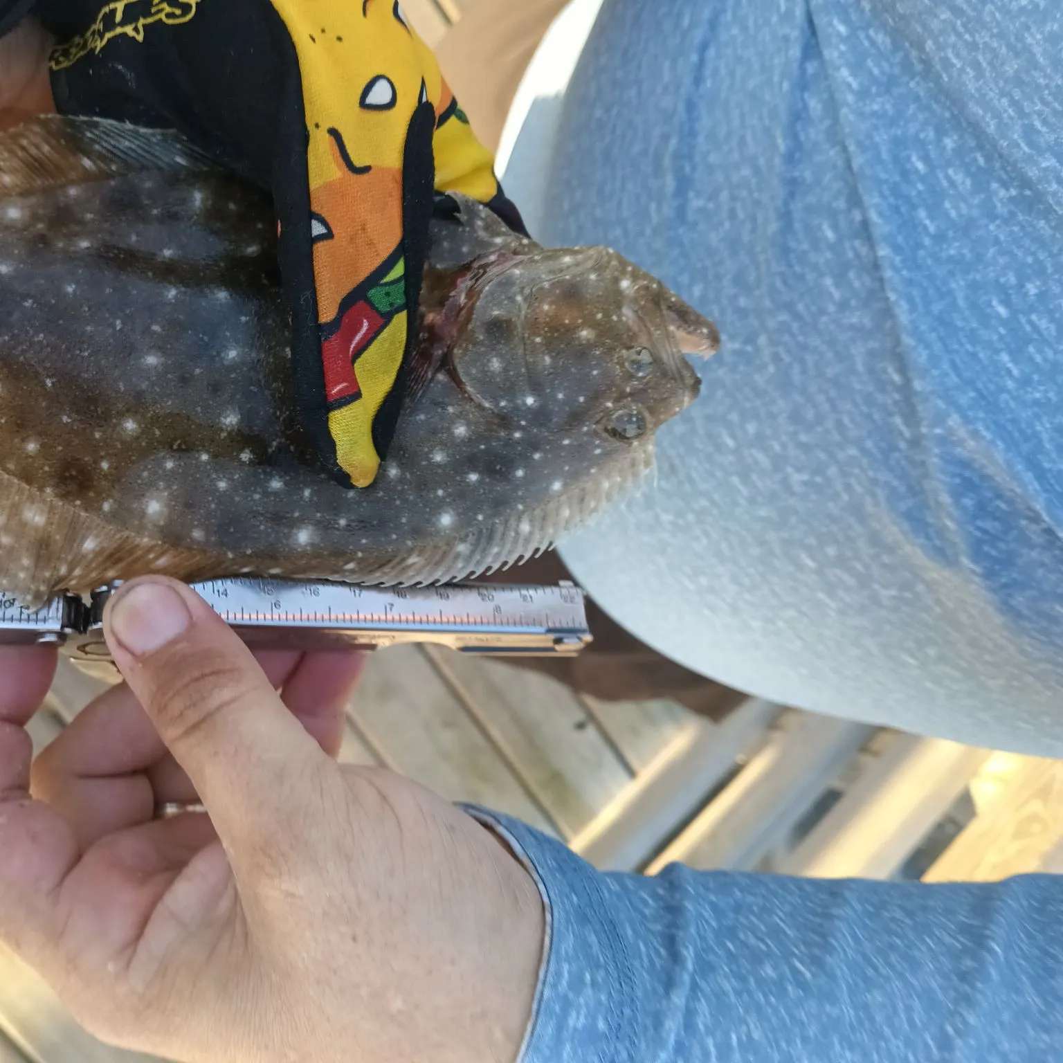 The most recent Southern flounder catches on Fishbrain