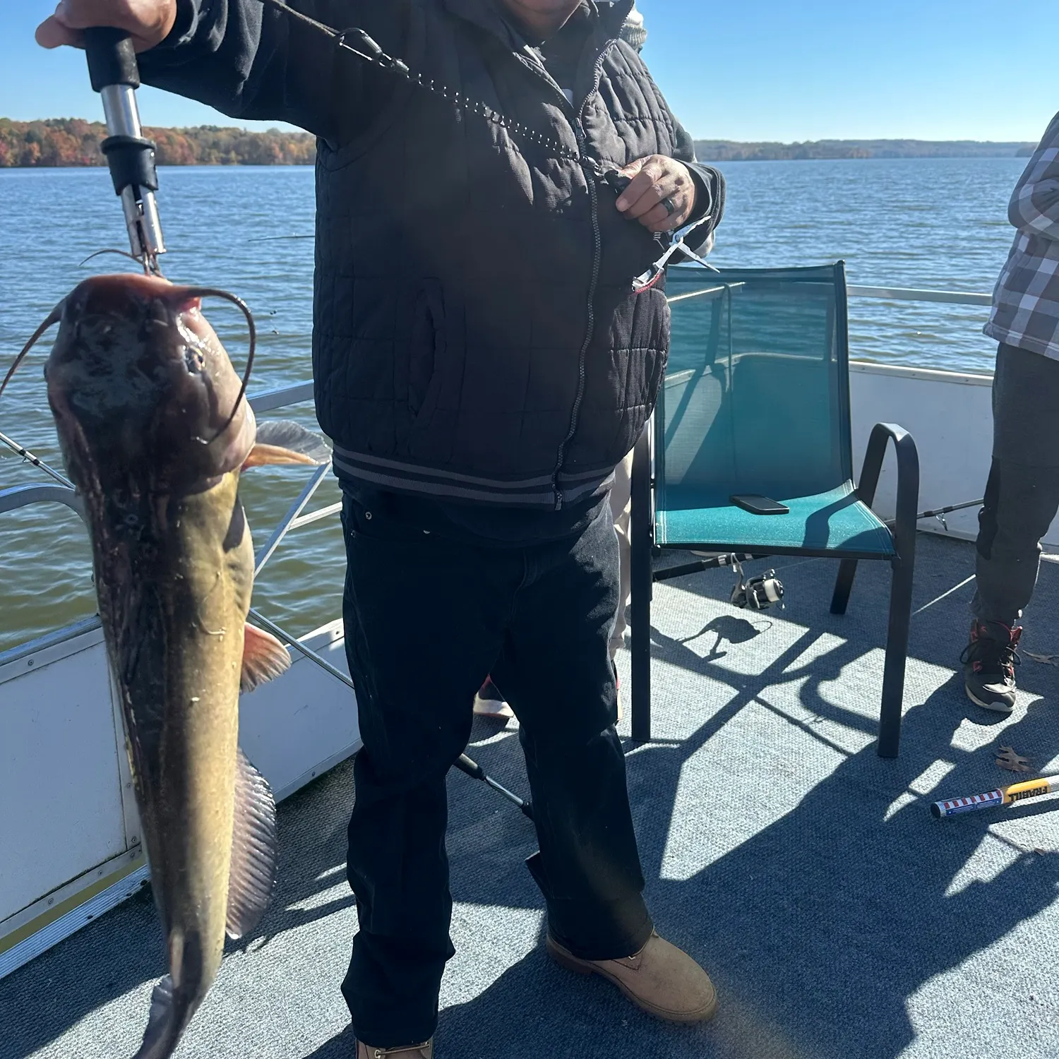 Blue catfish caught on Fishbrain