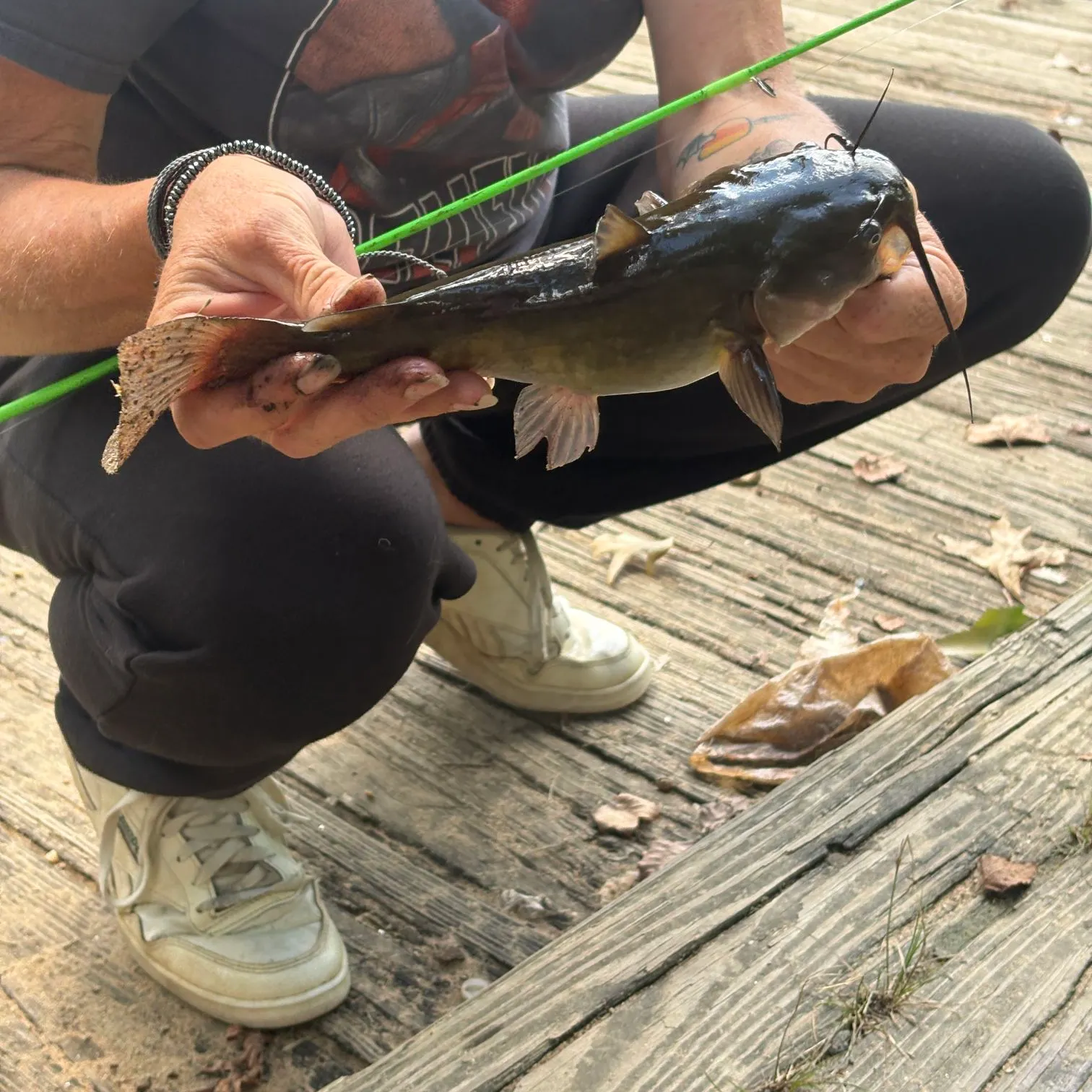Brown bullhead caught on Fishbrain