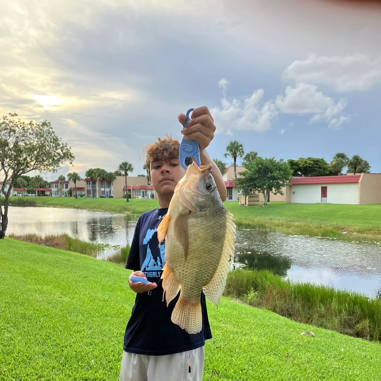 The most recent Blue tilapia catches on Fishbrain