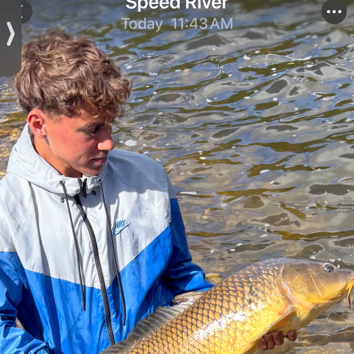 Common carp caught on Fishbrain