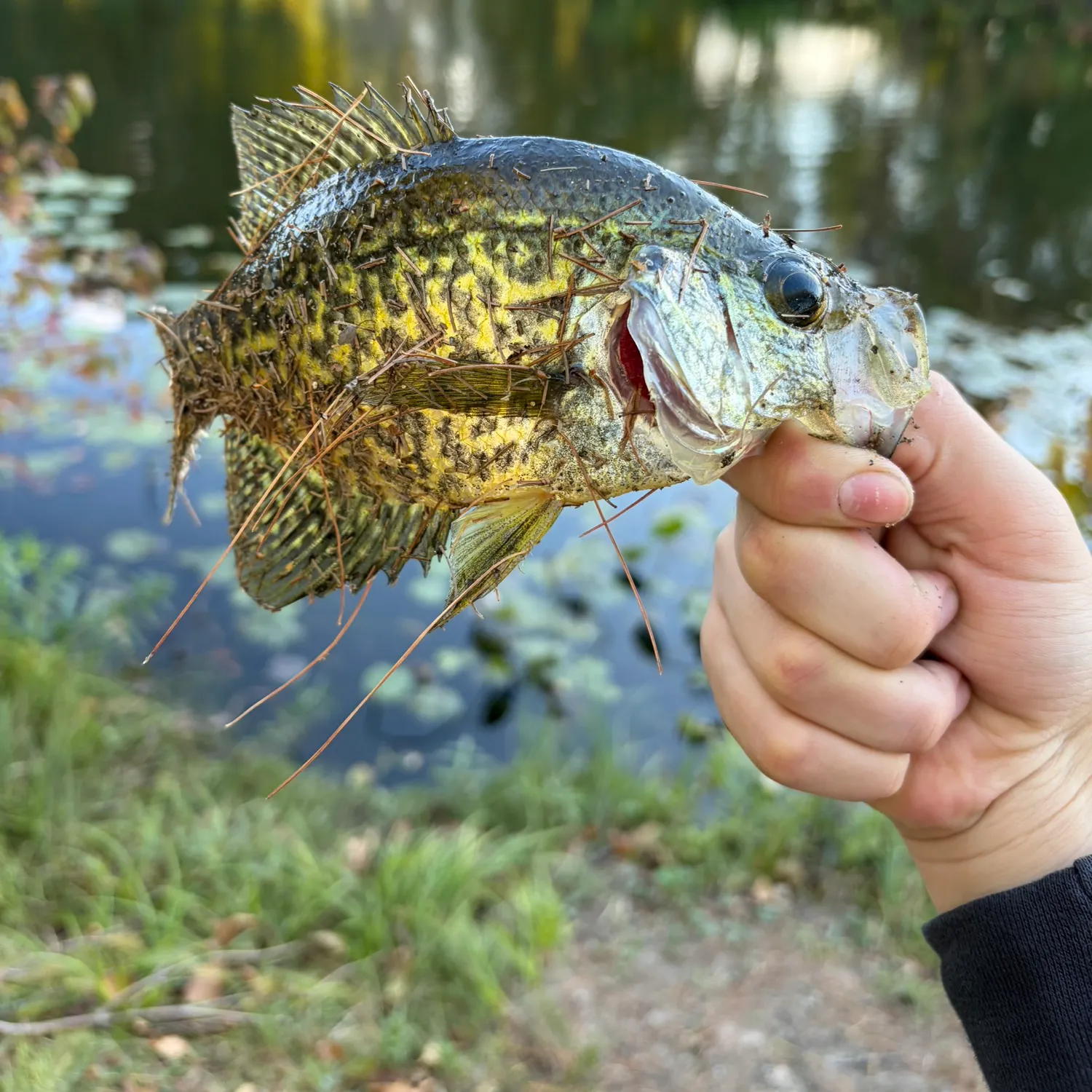 catch