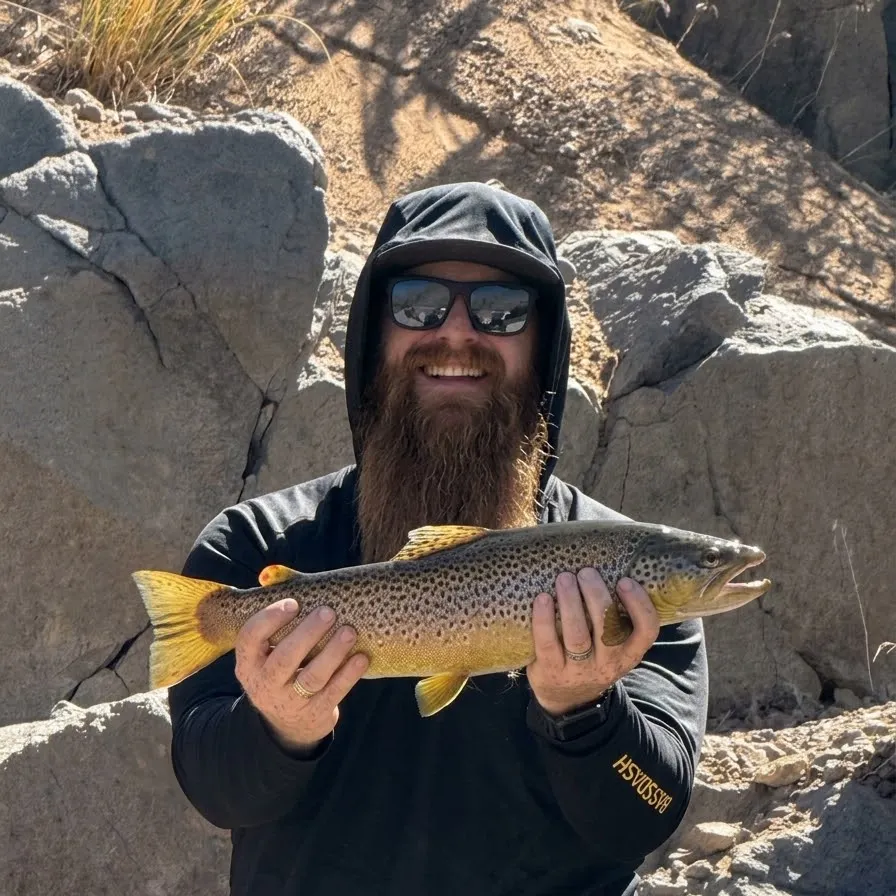 Brown trout caught on Fishbrain