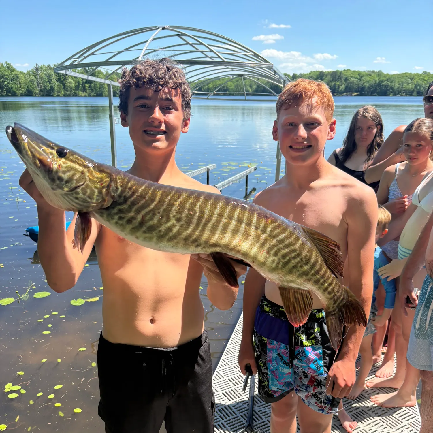 The most recent Tiger muskellunge catches on Fishbrain