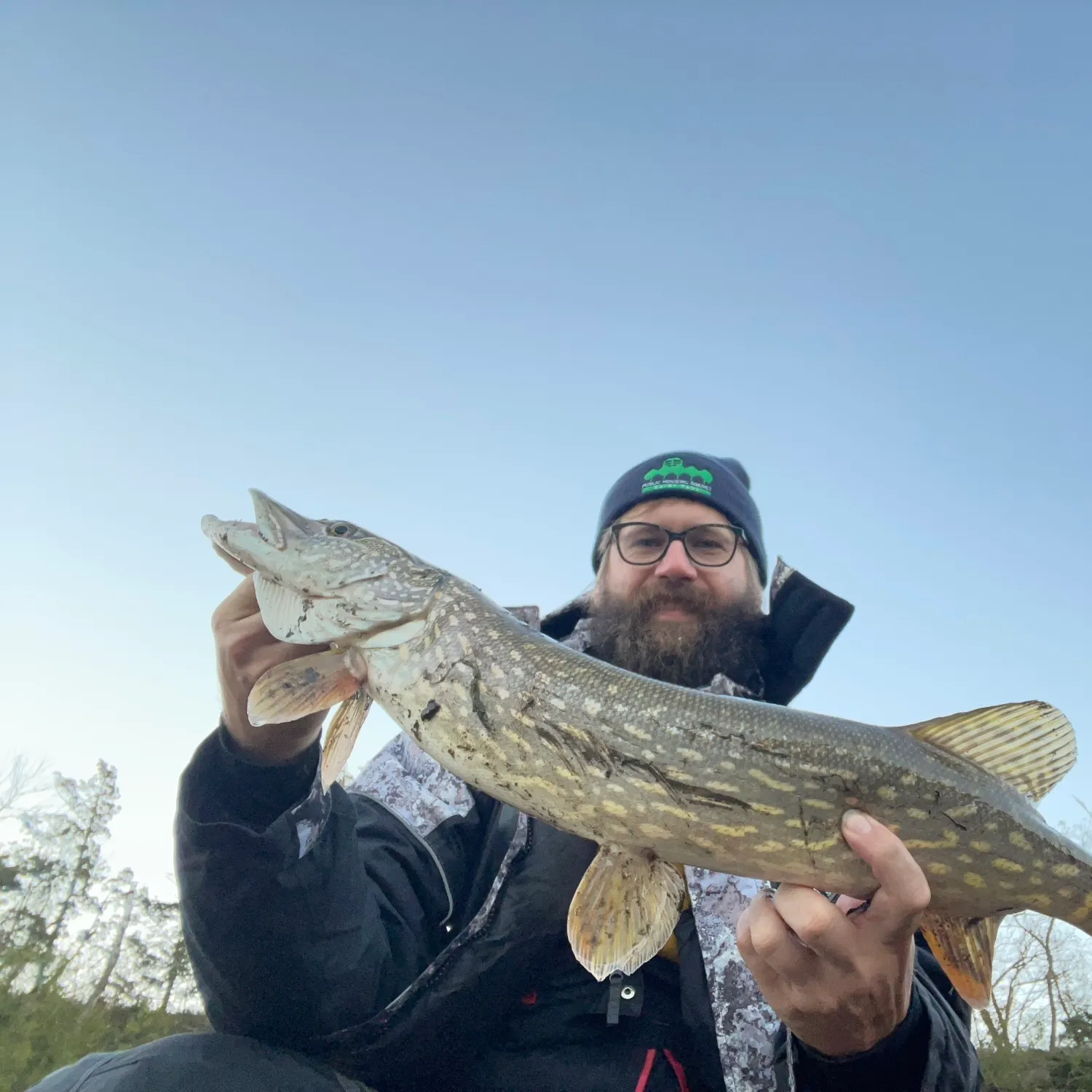Northern pike caught on Fishbrain