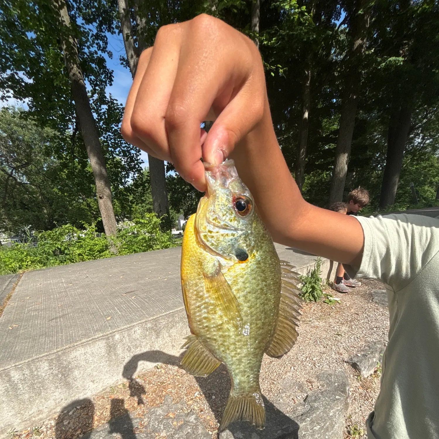 catch