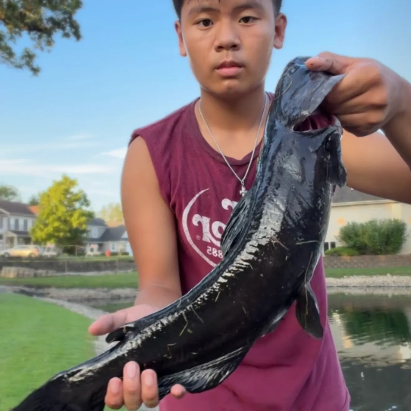 Channel catfish caught on Fishbrain