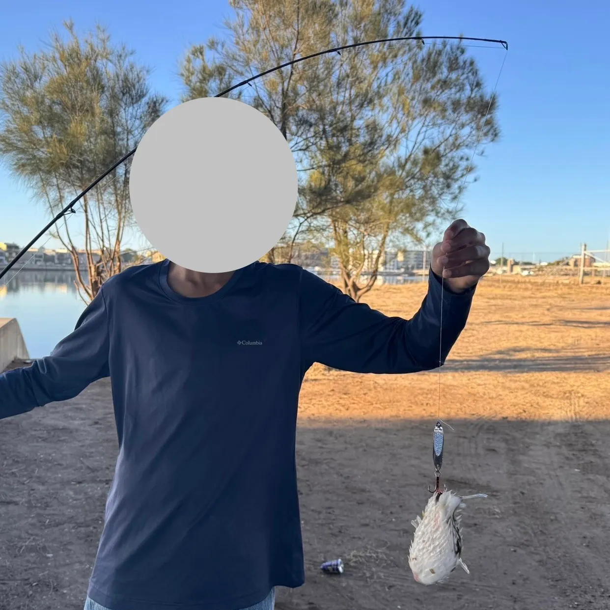 The most recent Southern puffer catches on Fishbrain