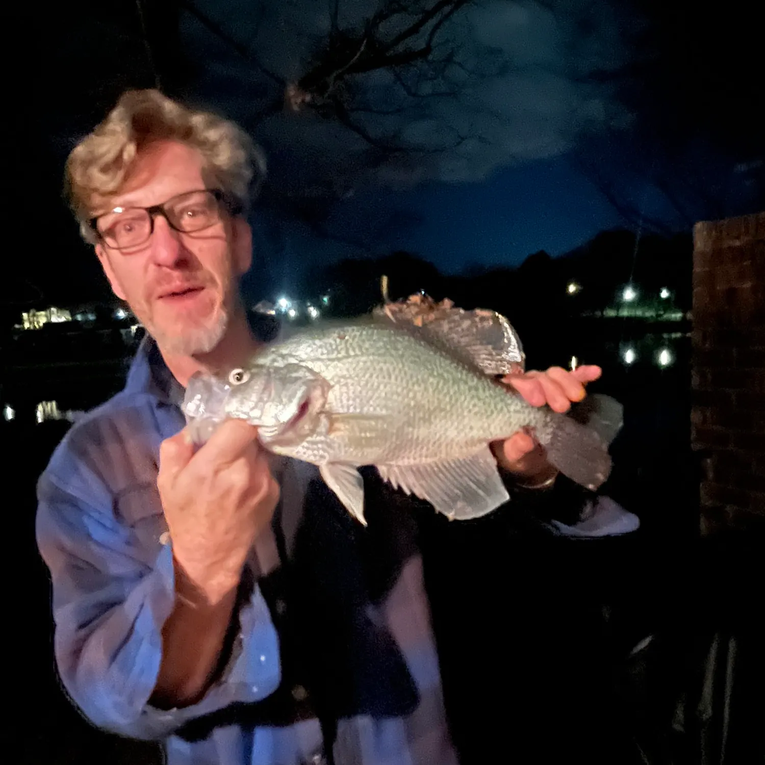 The most recent White crappie catches on Fishbrain