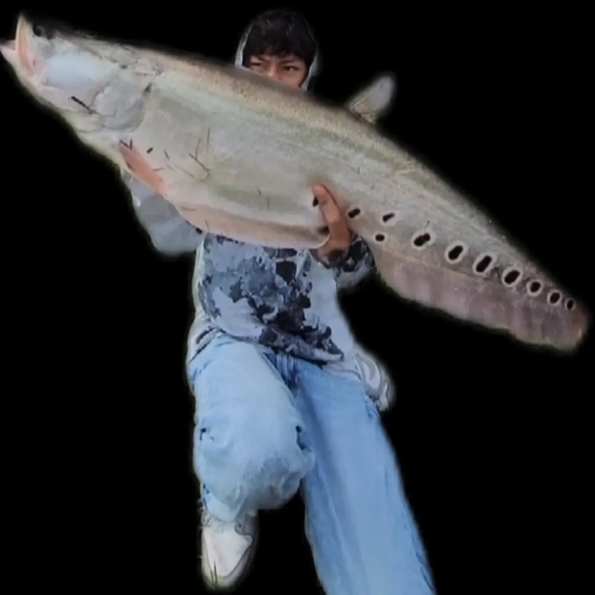 The most recent Clown knifefish catches on Fishbrain