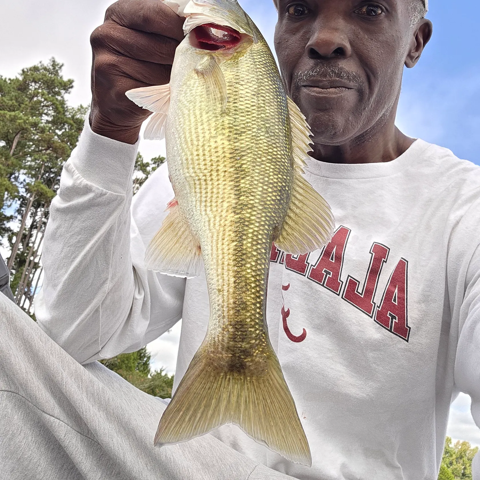 Spotted bass caught on Fishbrain