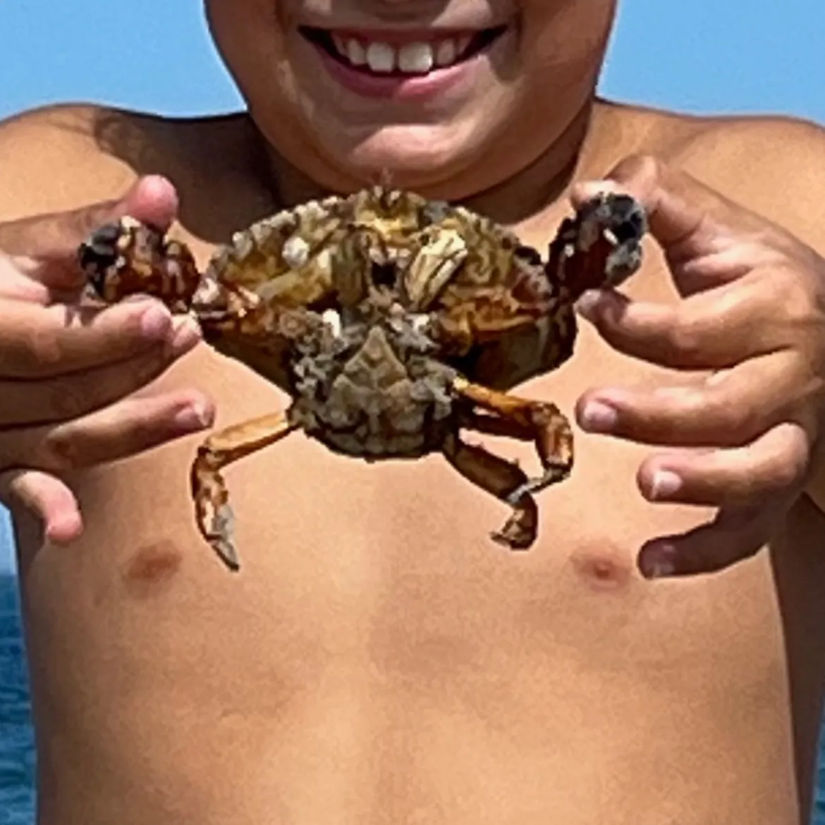 The most recent Green crab catches on Fishbrain