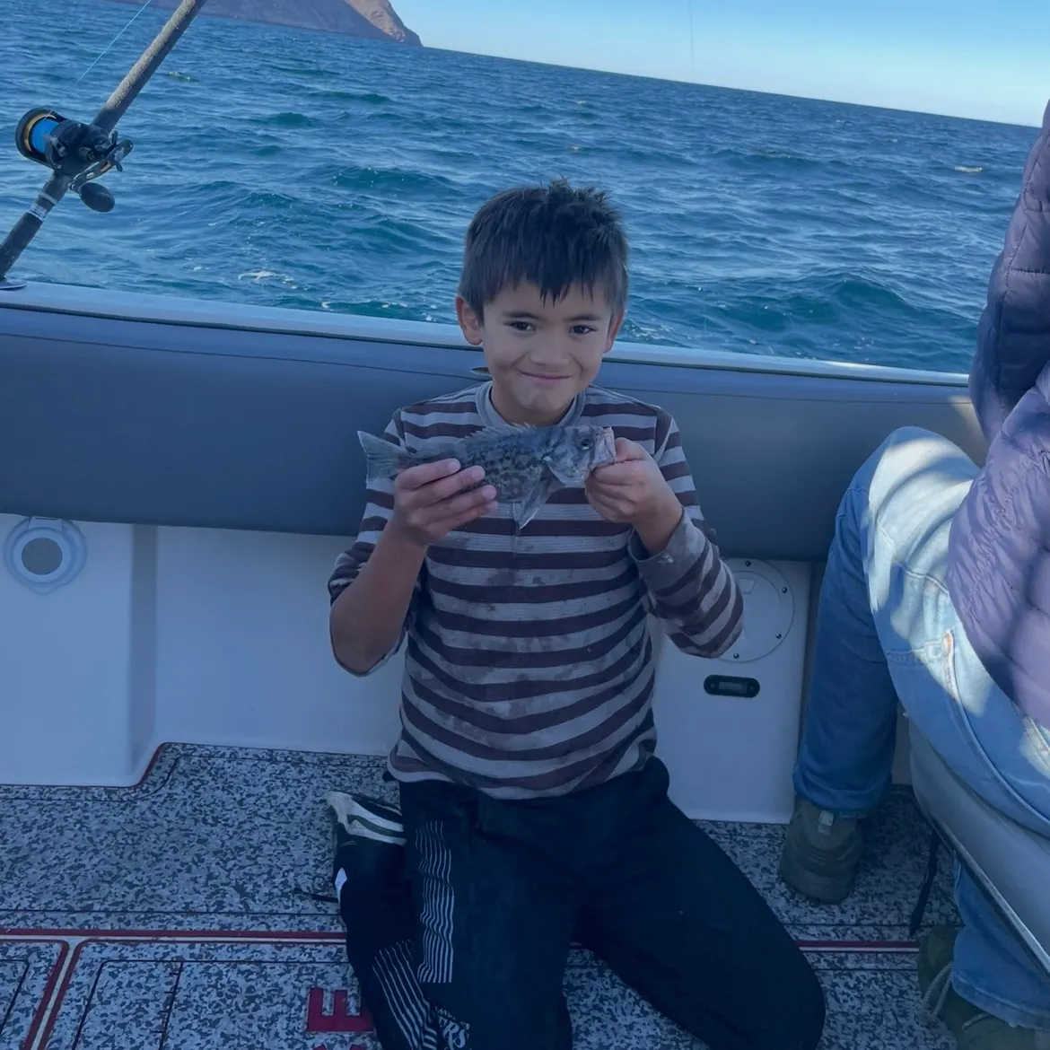 The most recent Black grouper catches on Fishbrain