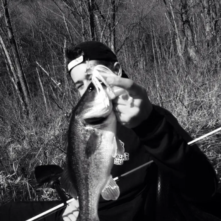 Largemouth bass caught on Fishbrain