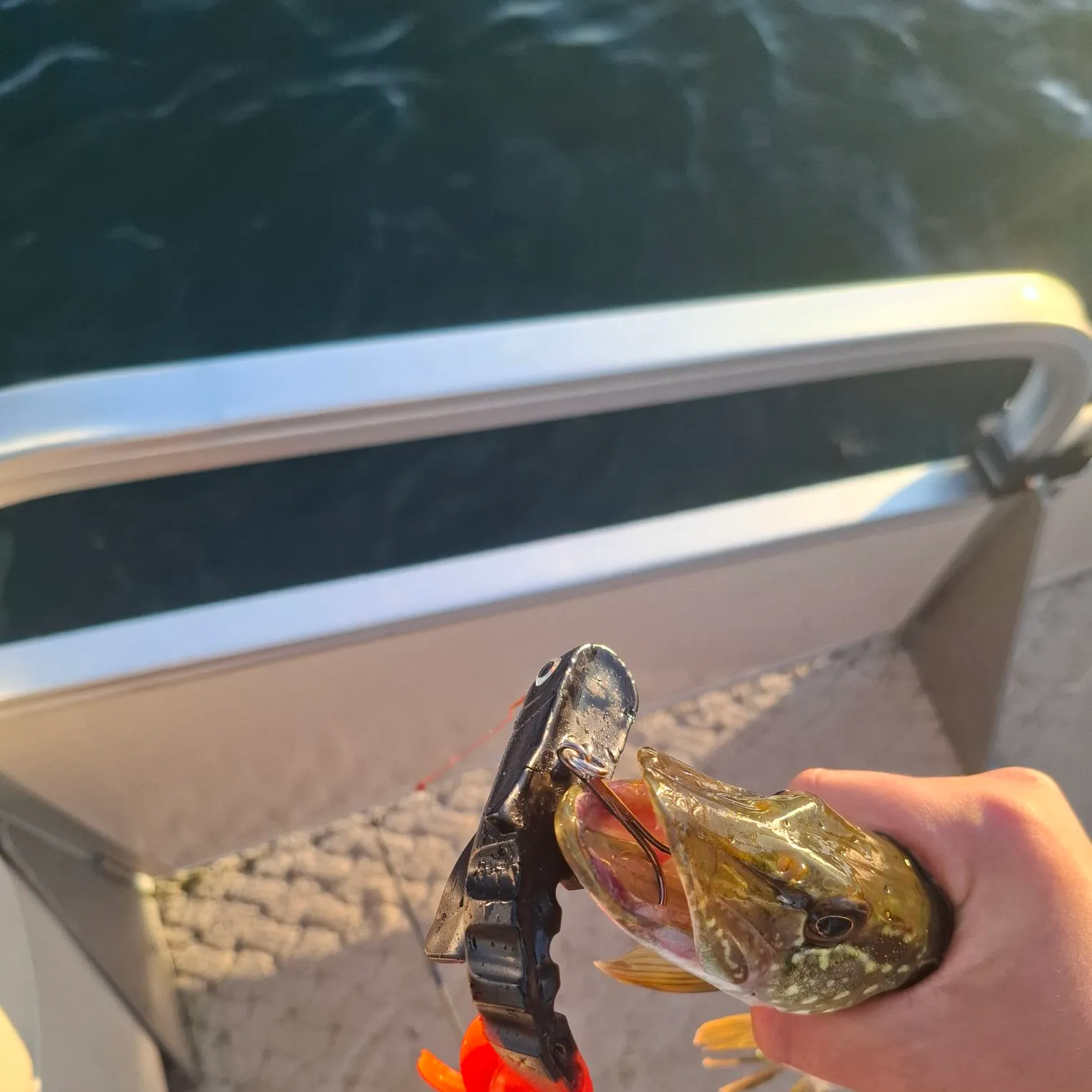 Northern pike caught on Fishbrain