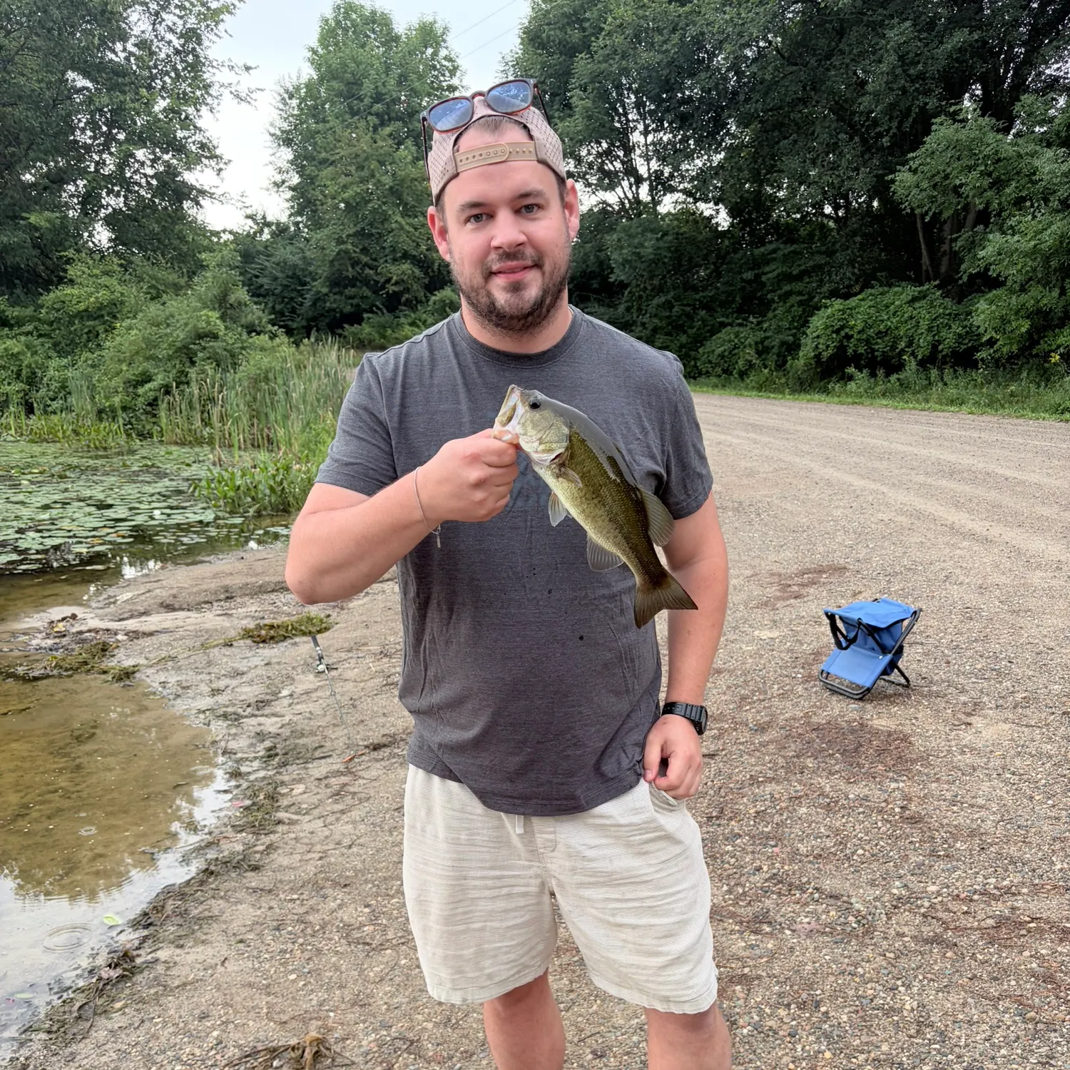 Largemouth bass caught on Fishbrain