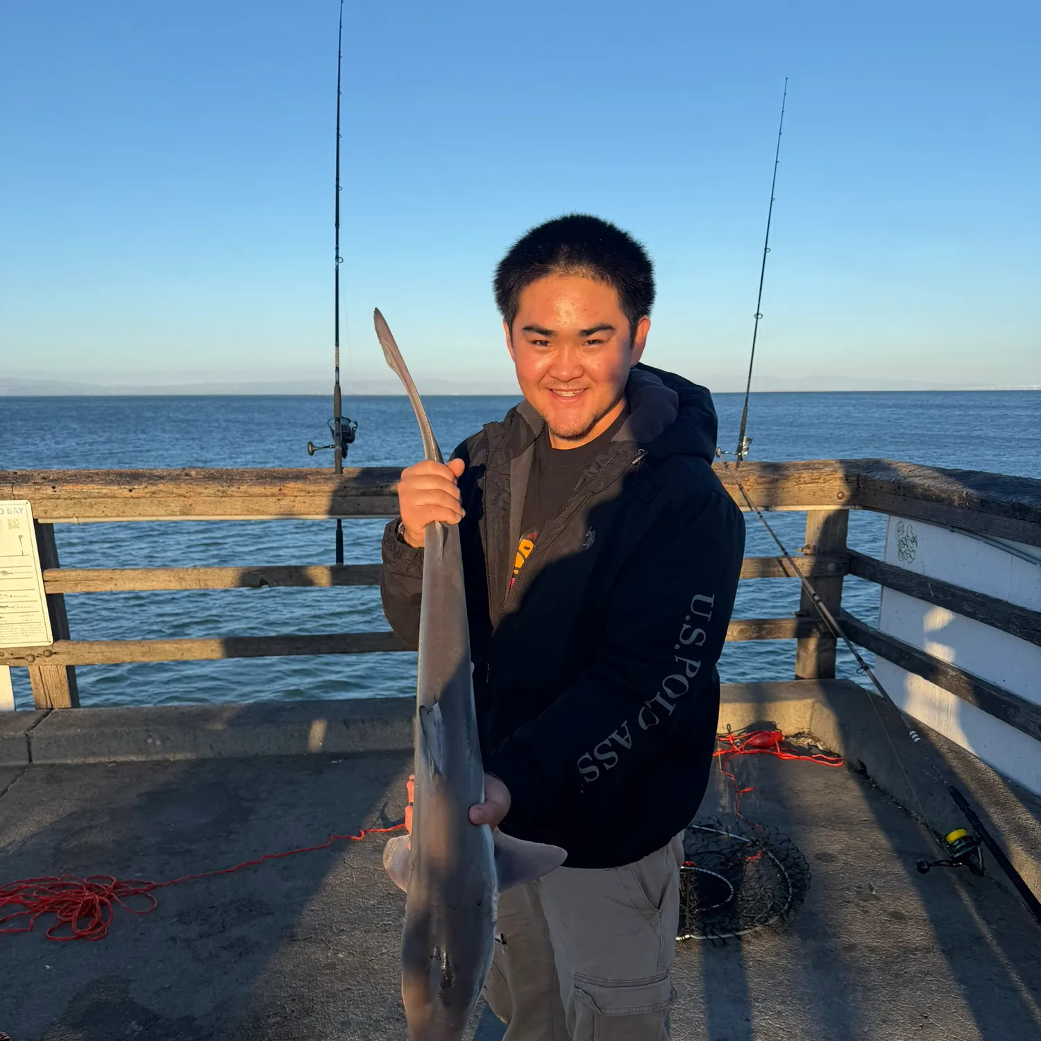 The most recent Brown smooth-hound catches on Fishbrain