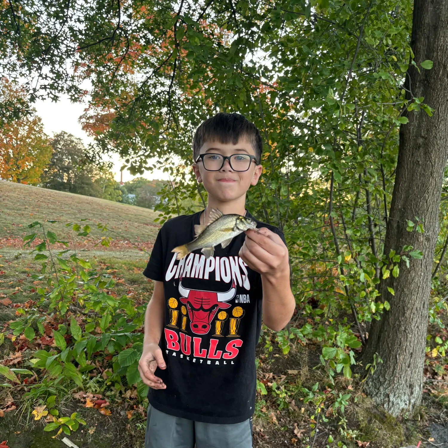 White perch caught on Fishbrain