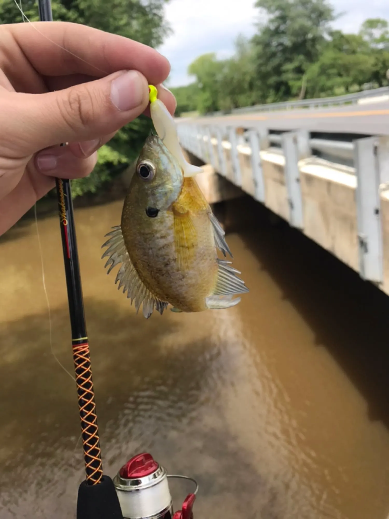 Post image from matt.andrews