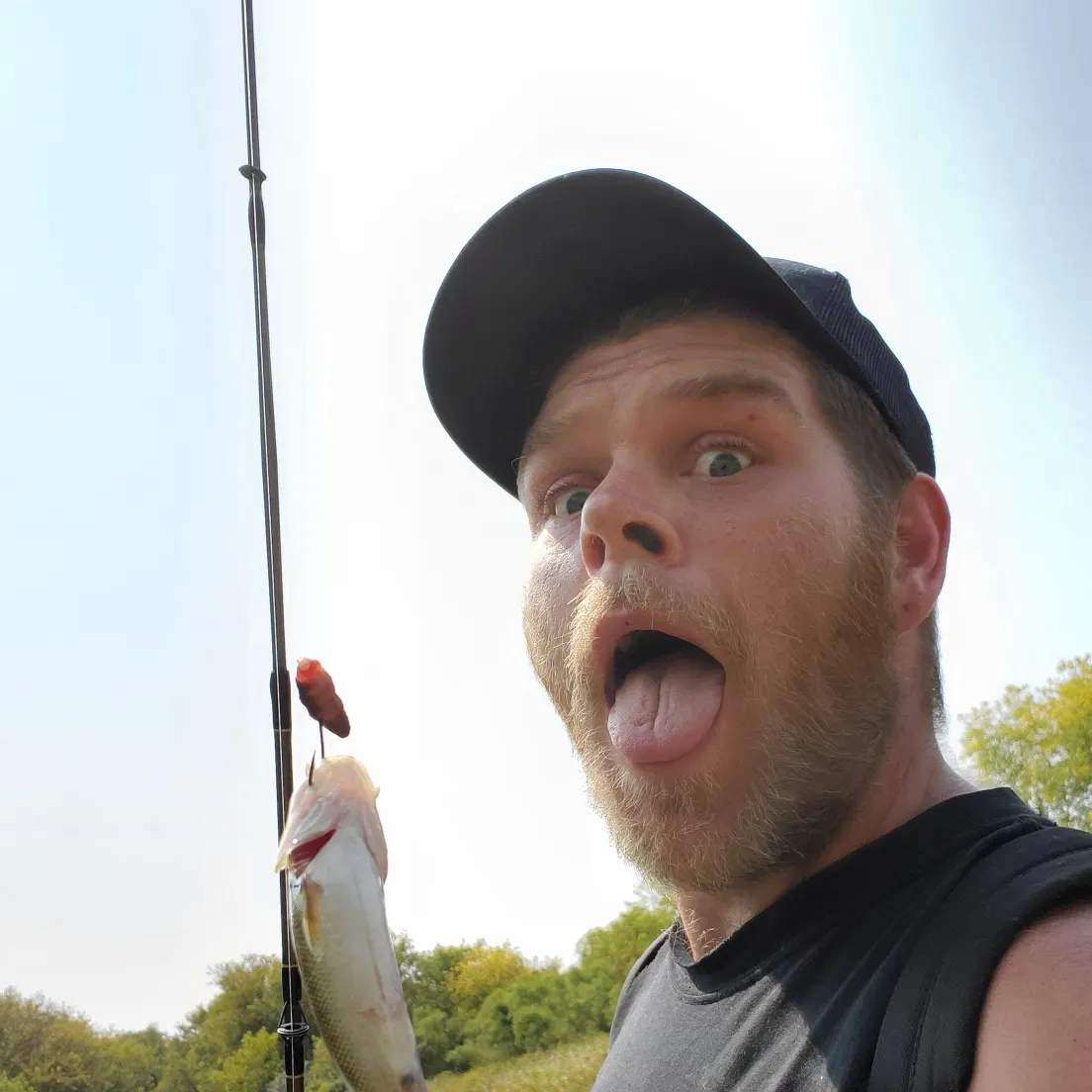 Creek chub caught on Fishbrain
