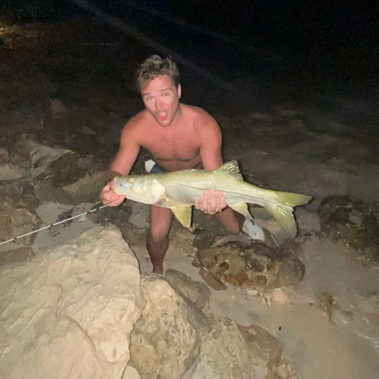 The most recent Common snook catches on Fishbrain
