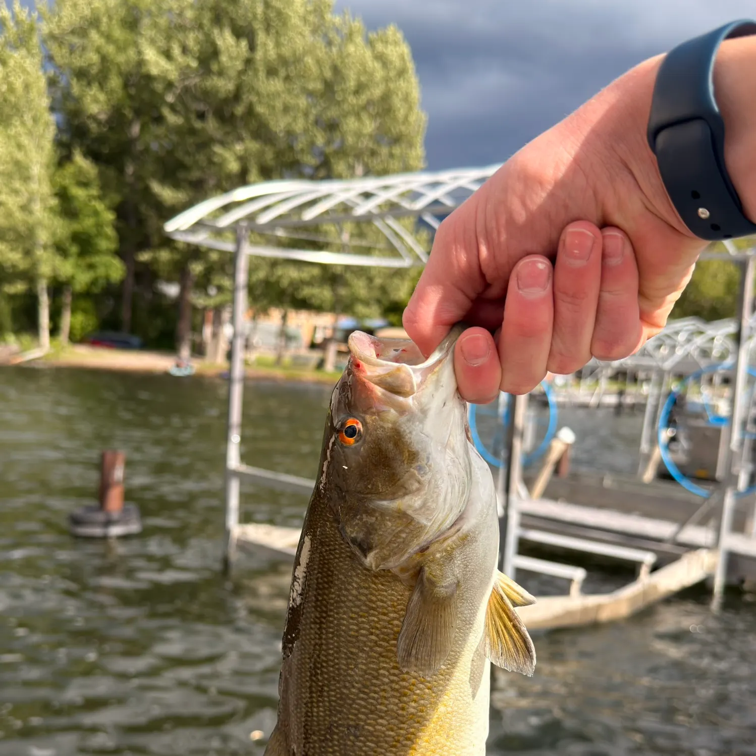 catch