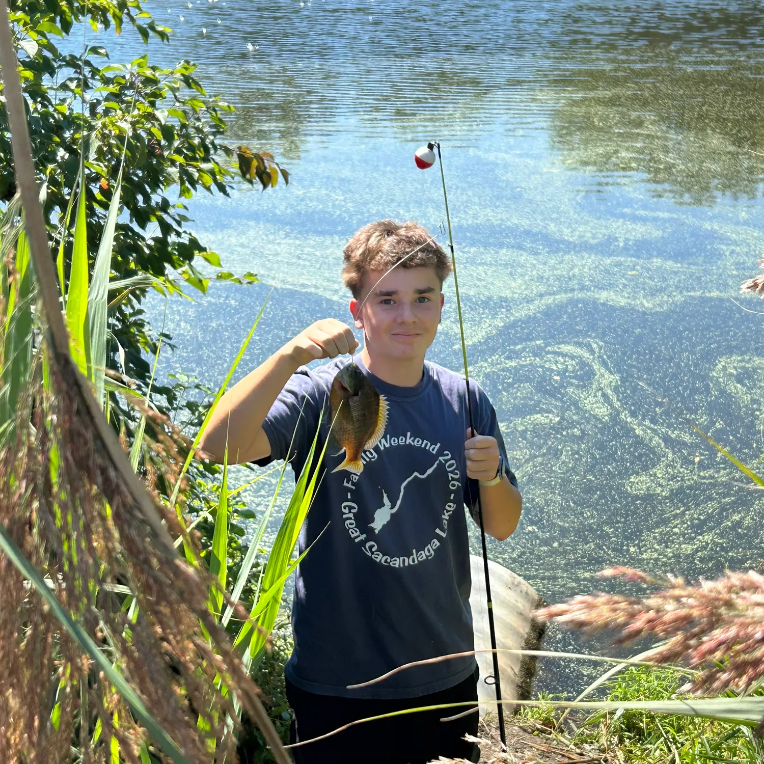 Bluegill caught on Fishbrain