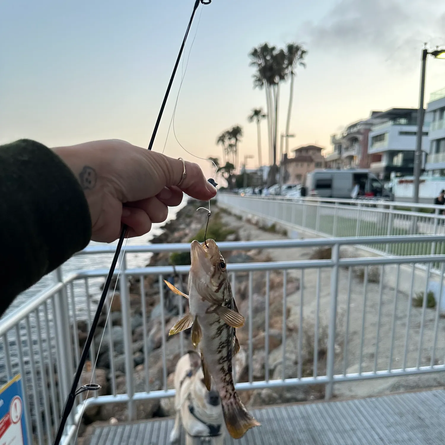 catch